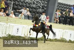 24R13_14378 proof