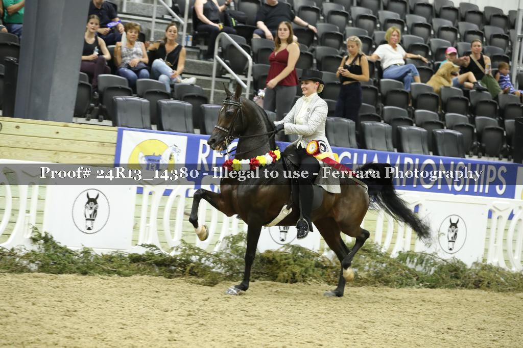 Proof 24R13_14380