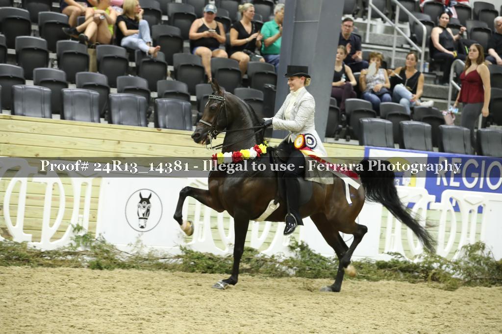 Proof 24R13_14381