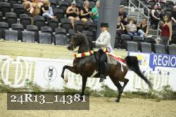 24R13_14381 proof