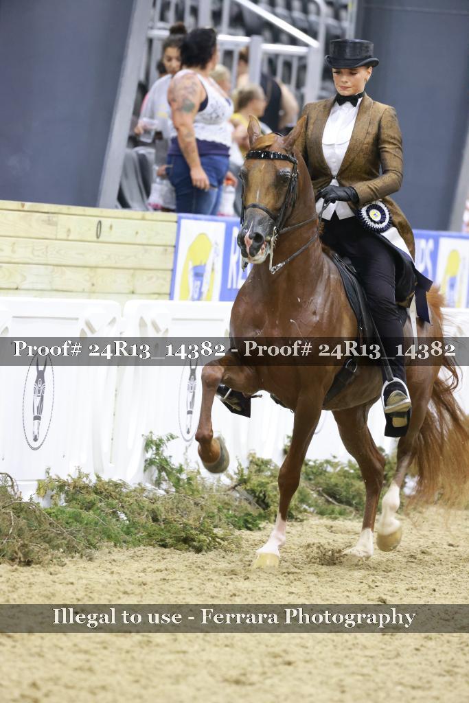 Proof 24R13_14382