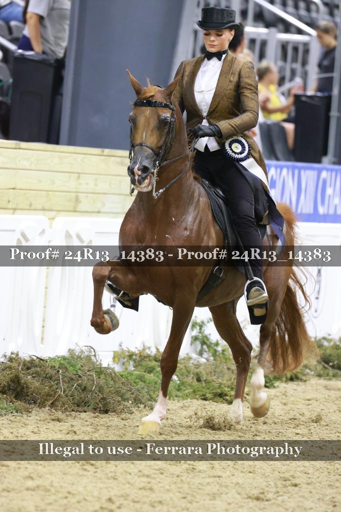 Proof 24R13_14383