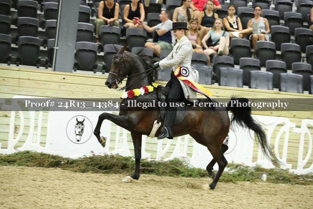 Proof 24R13_14384