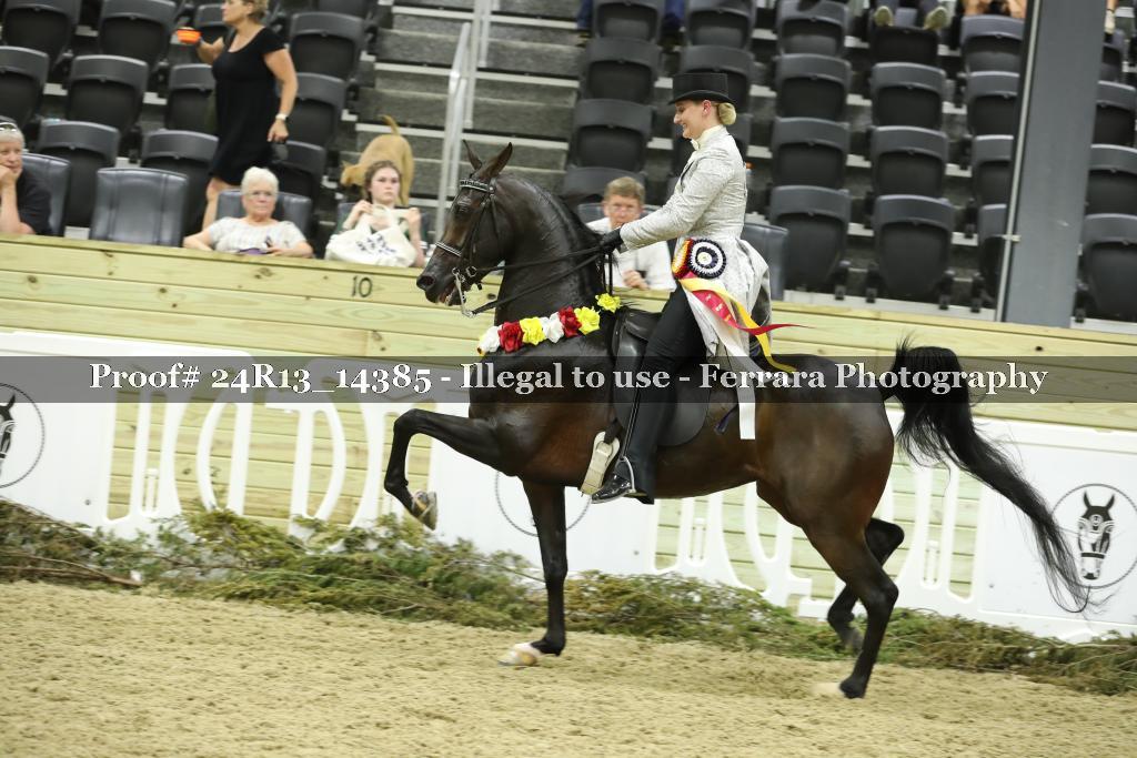 Proof 24R13_14385
