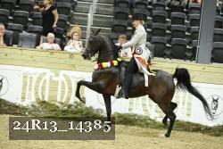24R13_14385 proof