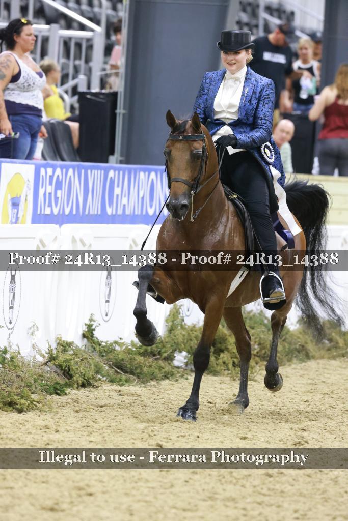 Proof 24R13_14388