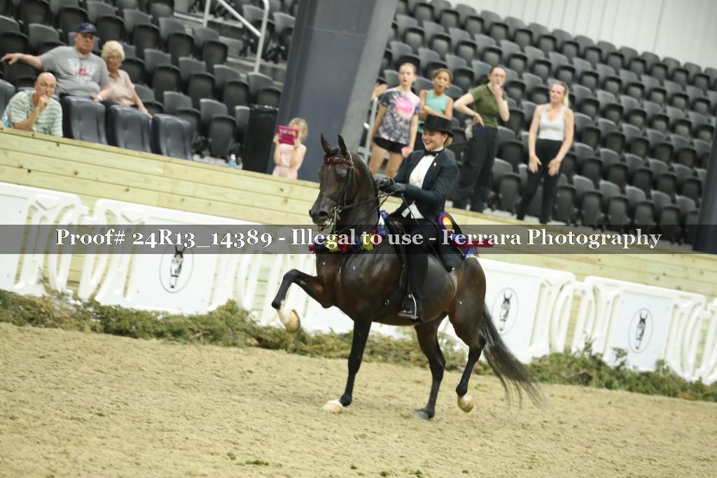 Proof 24R13_14389