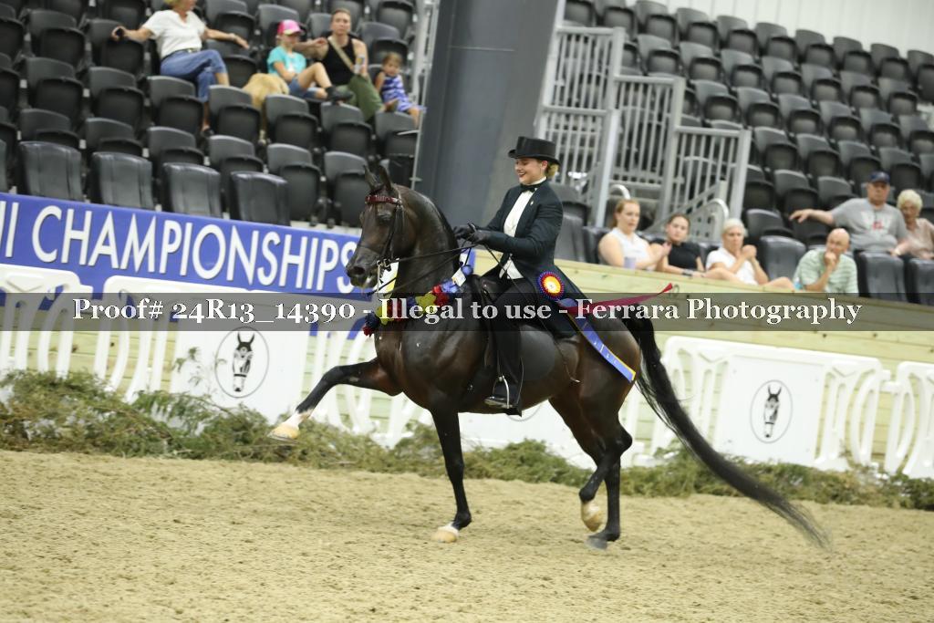 Proof 24R13_14390