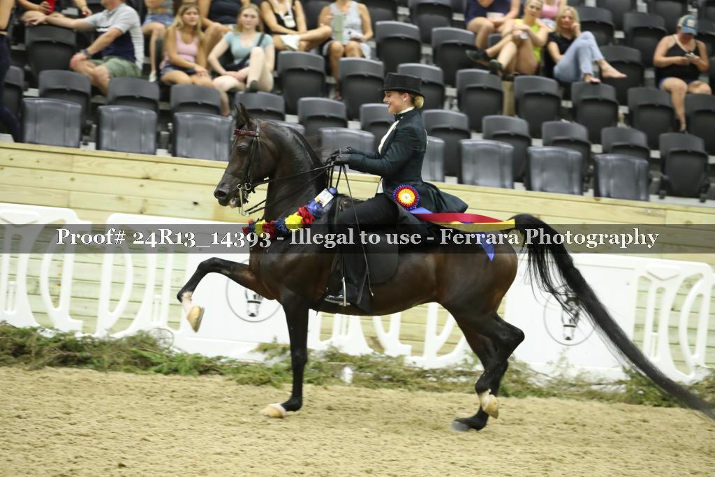 Proof 24R13_14393