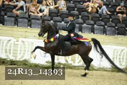 24R13_14393 proof