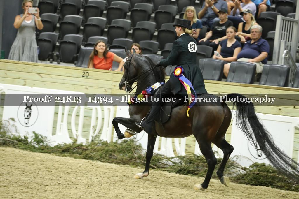 Proof 24R13_14394