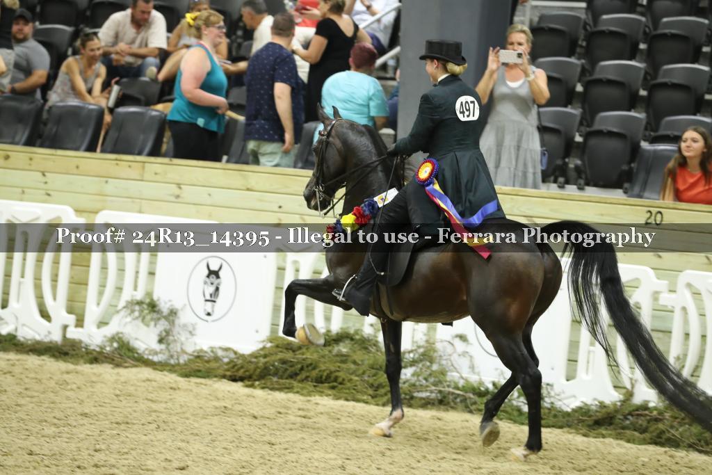 Proof 24R13_14395