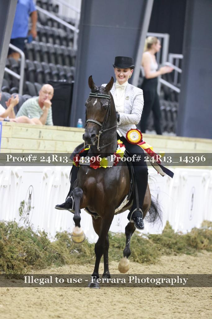 Proof 24R13_14396