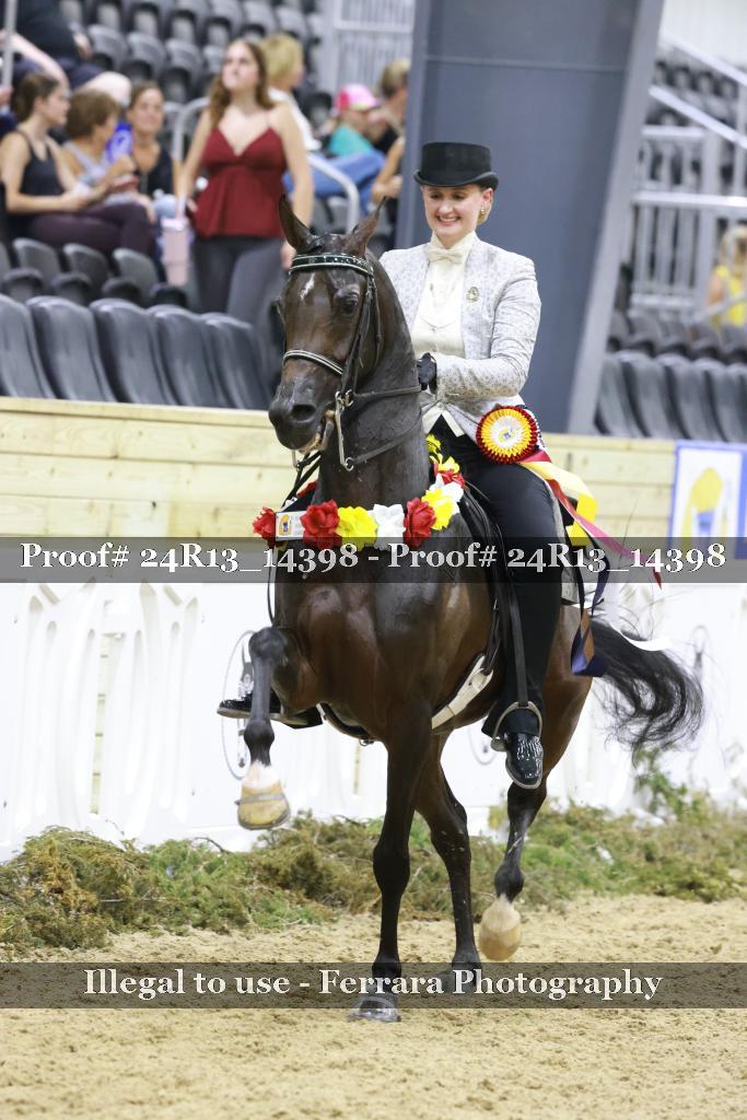 Proof 24R13_14398