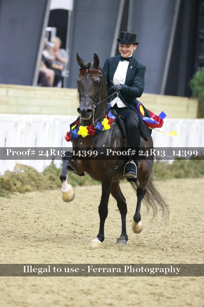 Proof 24R13_14399