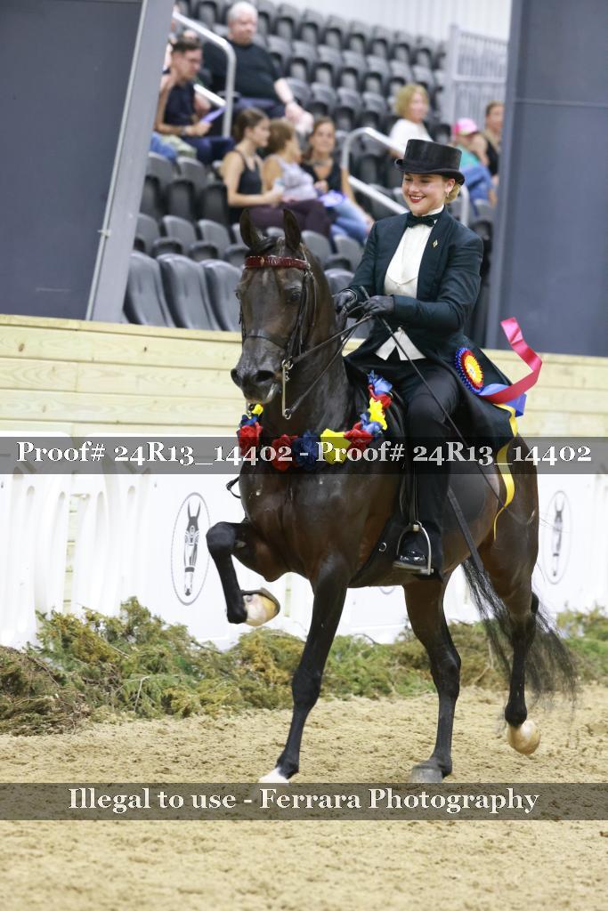 Proof 24R13_14402
