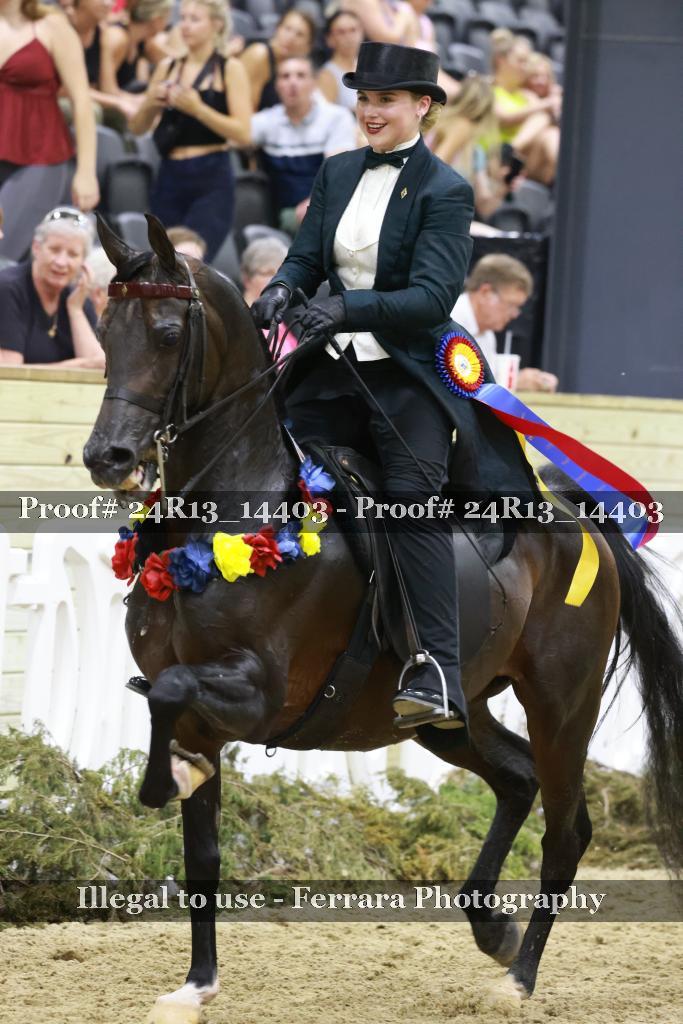 Proof 24R13_14403