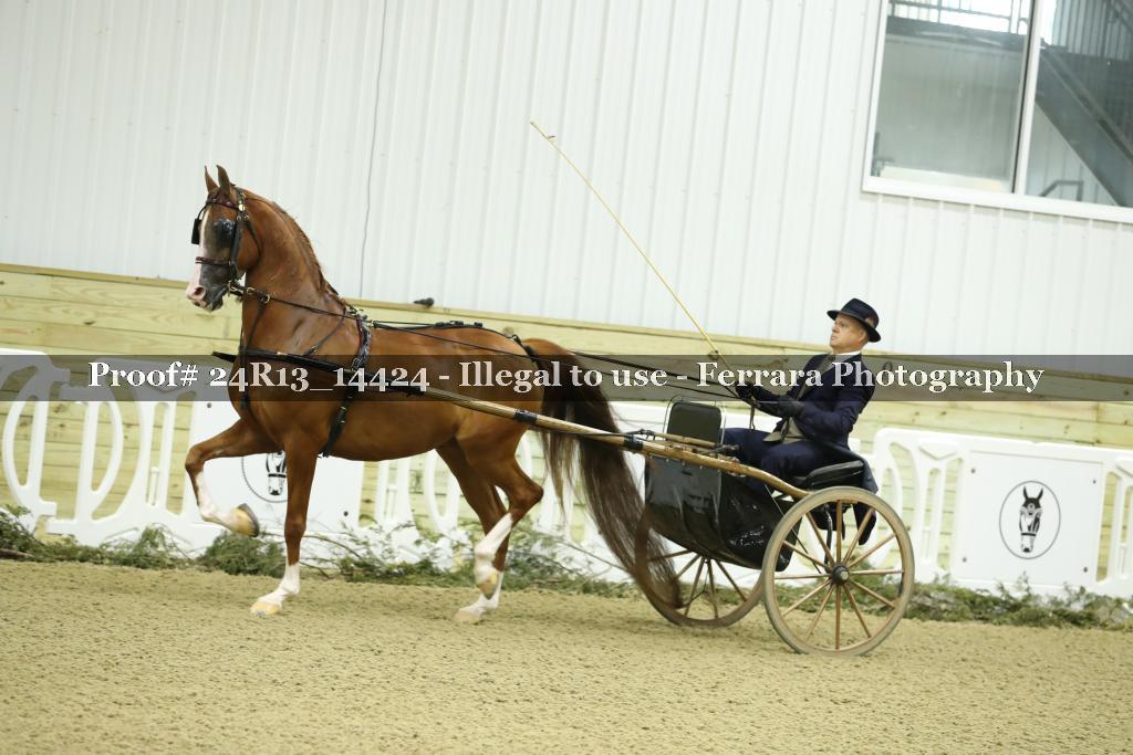 Proof 24R13_14424