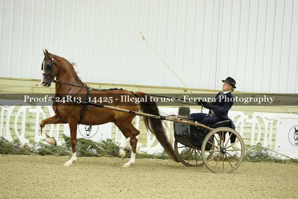 Proof 24R13_14425