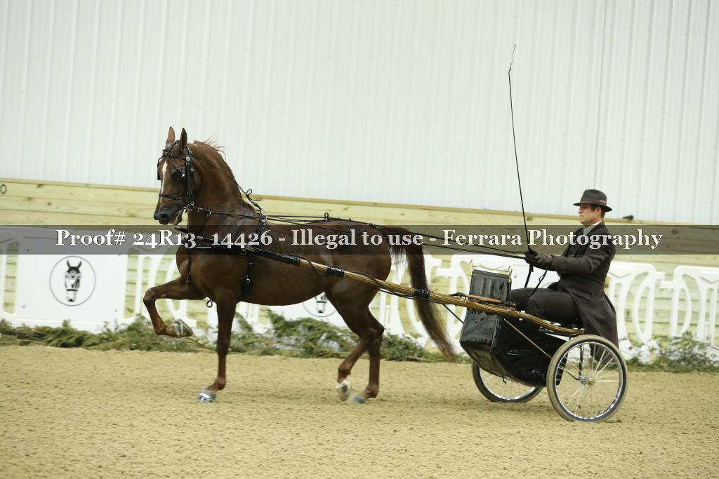 Proof 24R13_14426