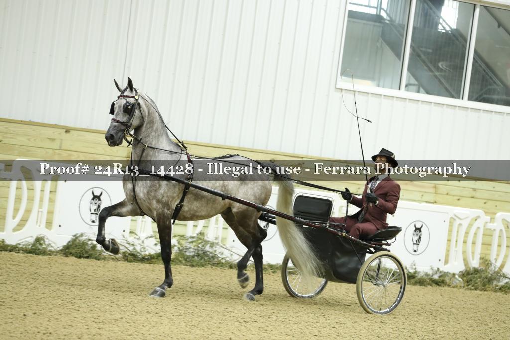 Proof 24R13_14428