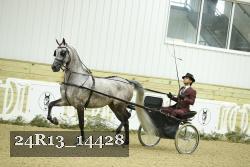 24R13_14428 proof