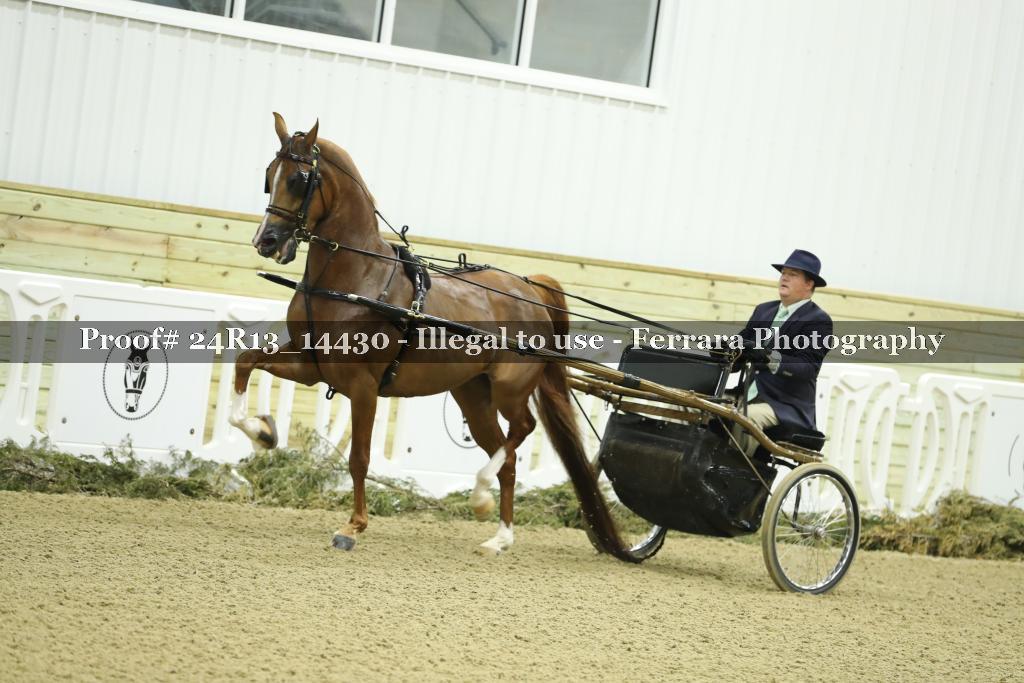 Proof 24R13_14430