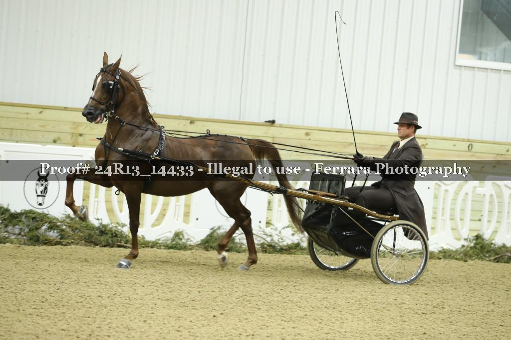 Proof 24R13_14433