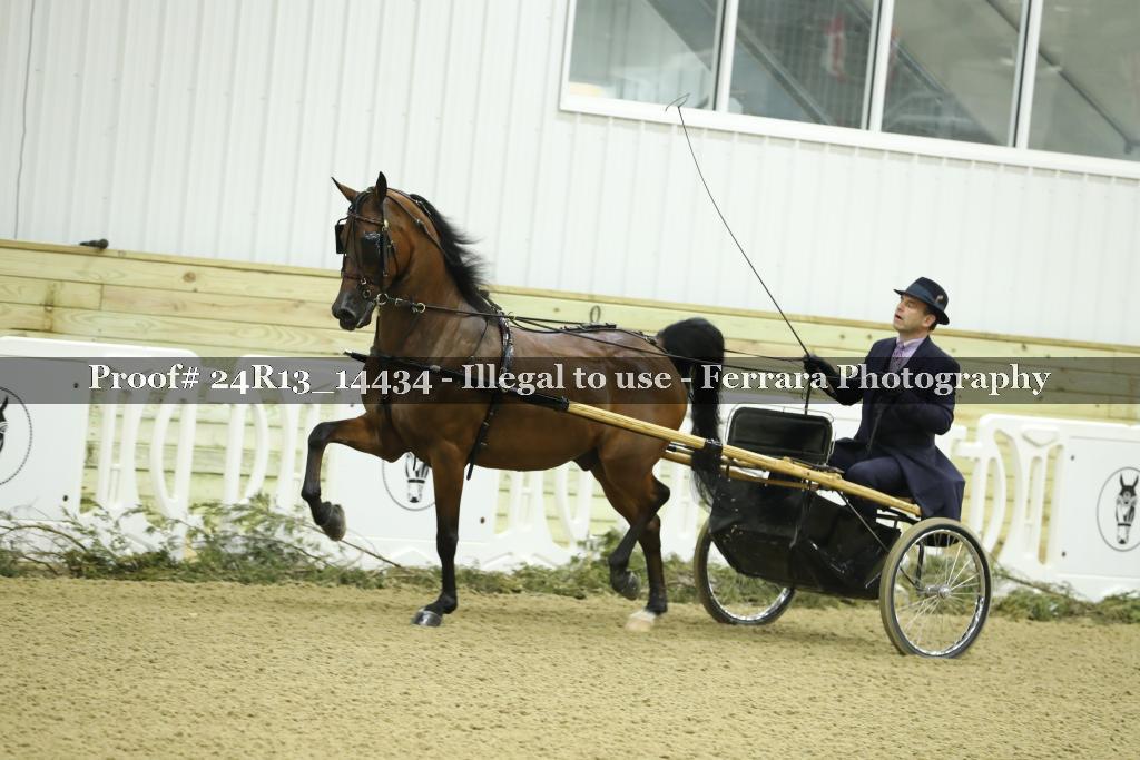 Proof 24R13_14434