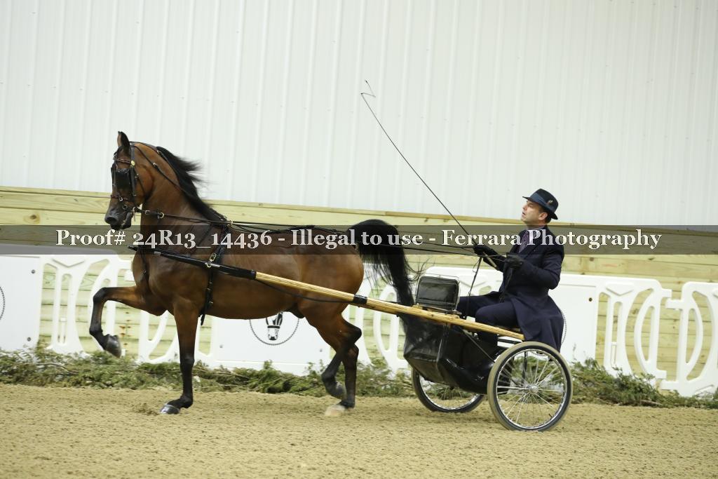 Proof 24R13_14436