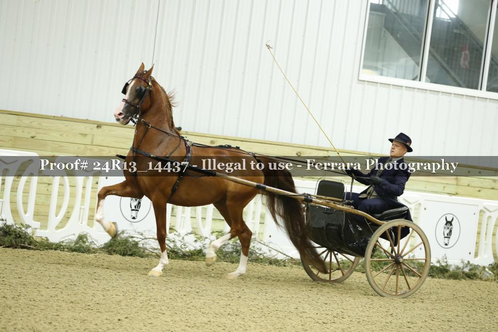 Proof 24R13_14437
