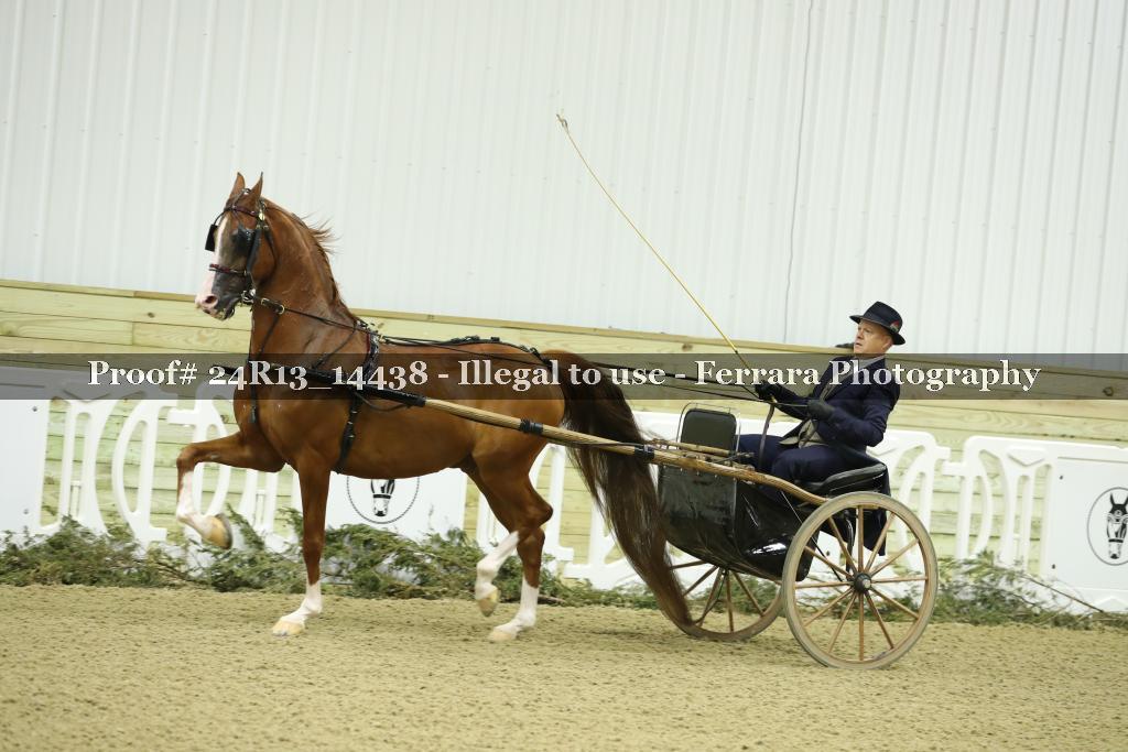 Proof 24R13_14438