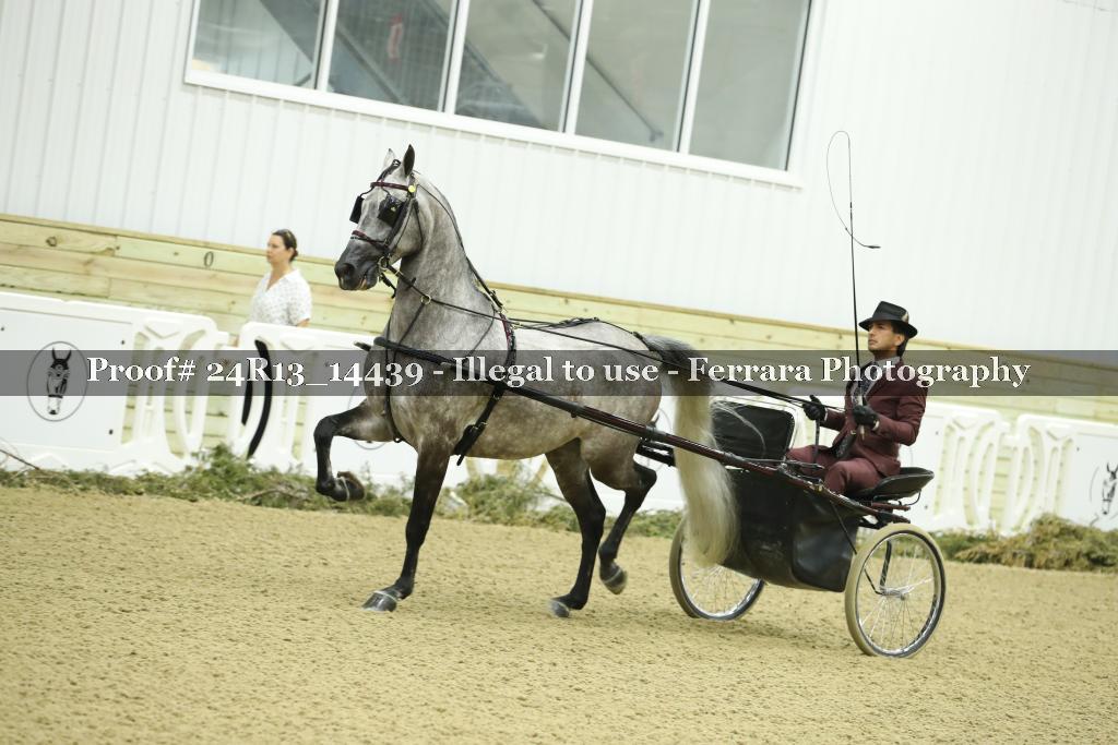 Proof 24R13_14439