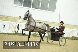 24R13_14439 proof