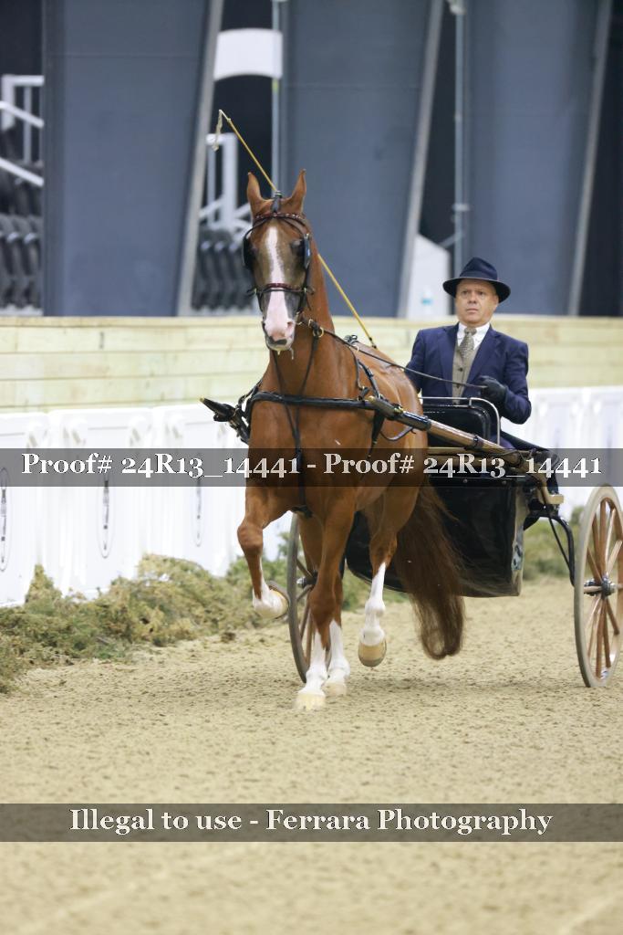 Proof 24R13_14441