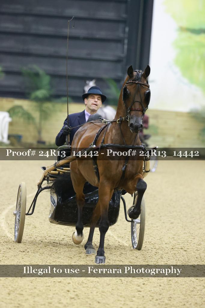 Proof 24R13_14442