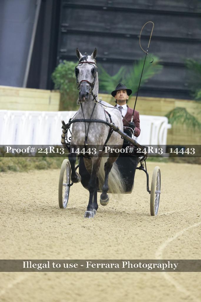 Proof 24R13_14443