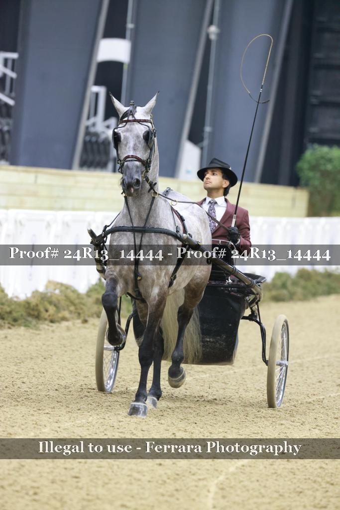 Proof 24R13_14444