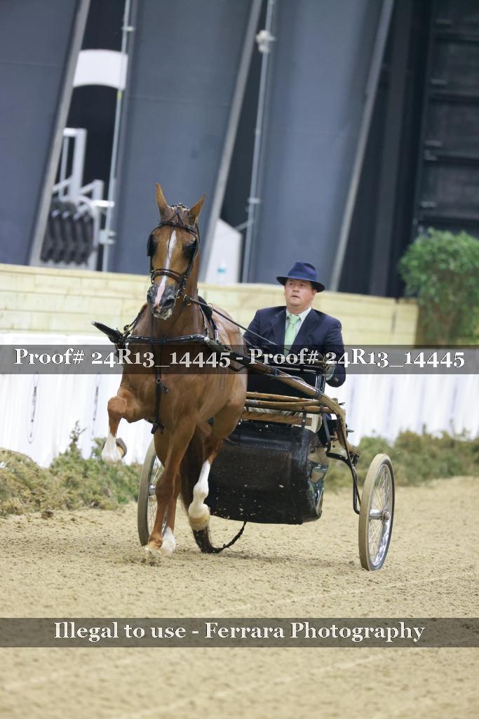 Proof 24R13_14445