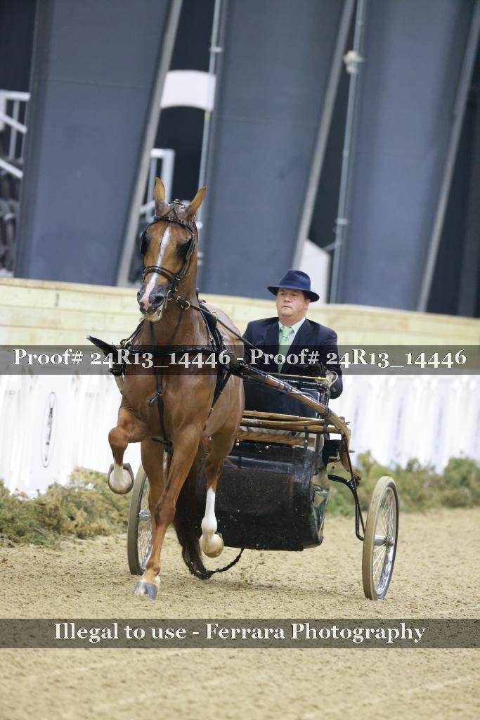 Proof 24R13_14446