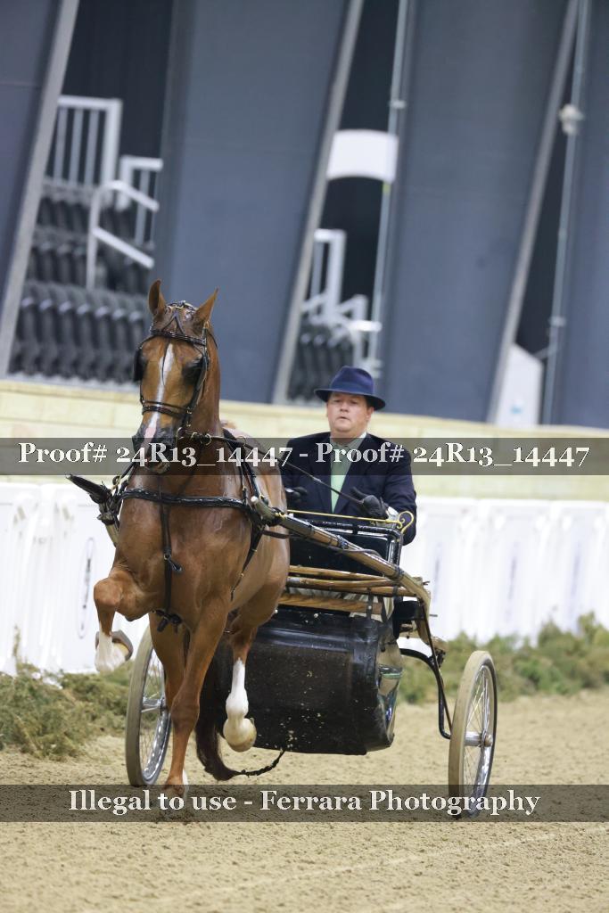 Proof 24R13_14447
