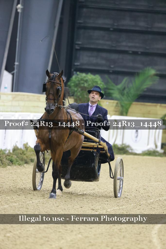 Proof 24R13_14448