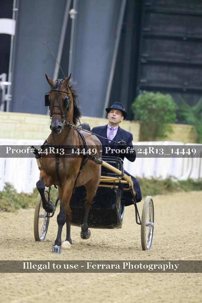 Proof 24R13_14449