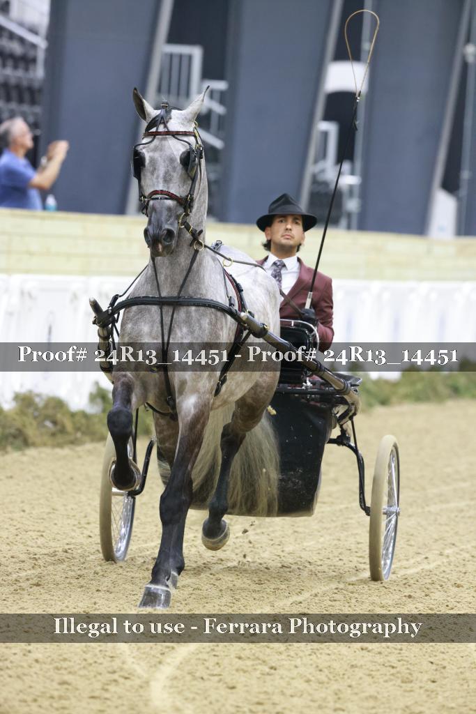 Proof 24R13_14451