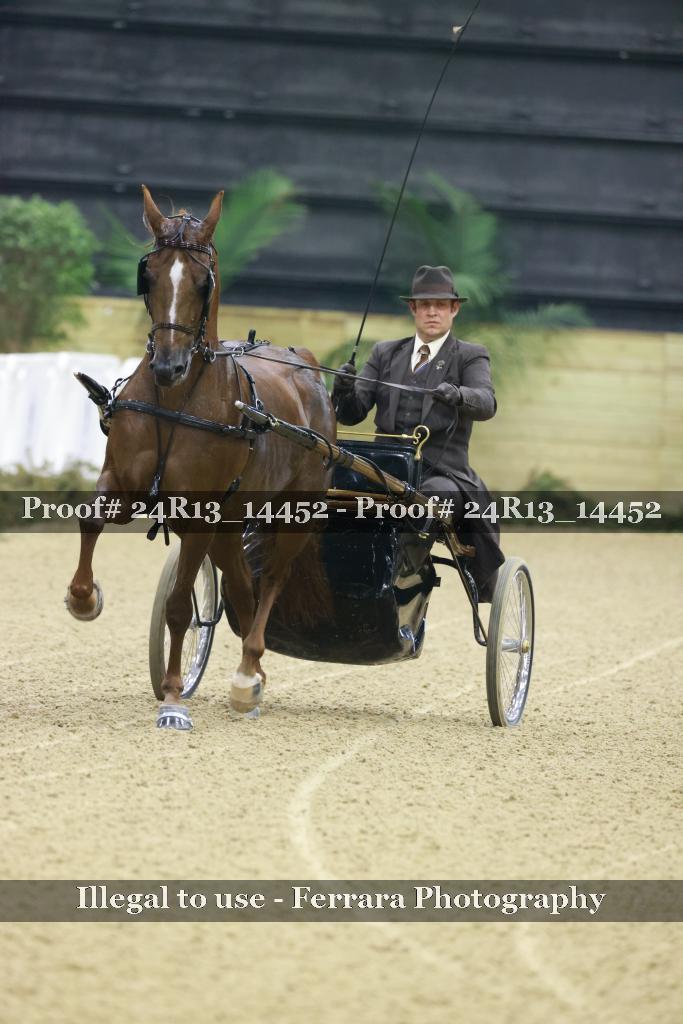 Proof 24R13_14452
