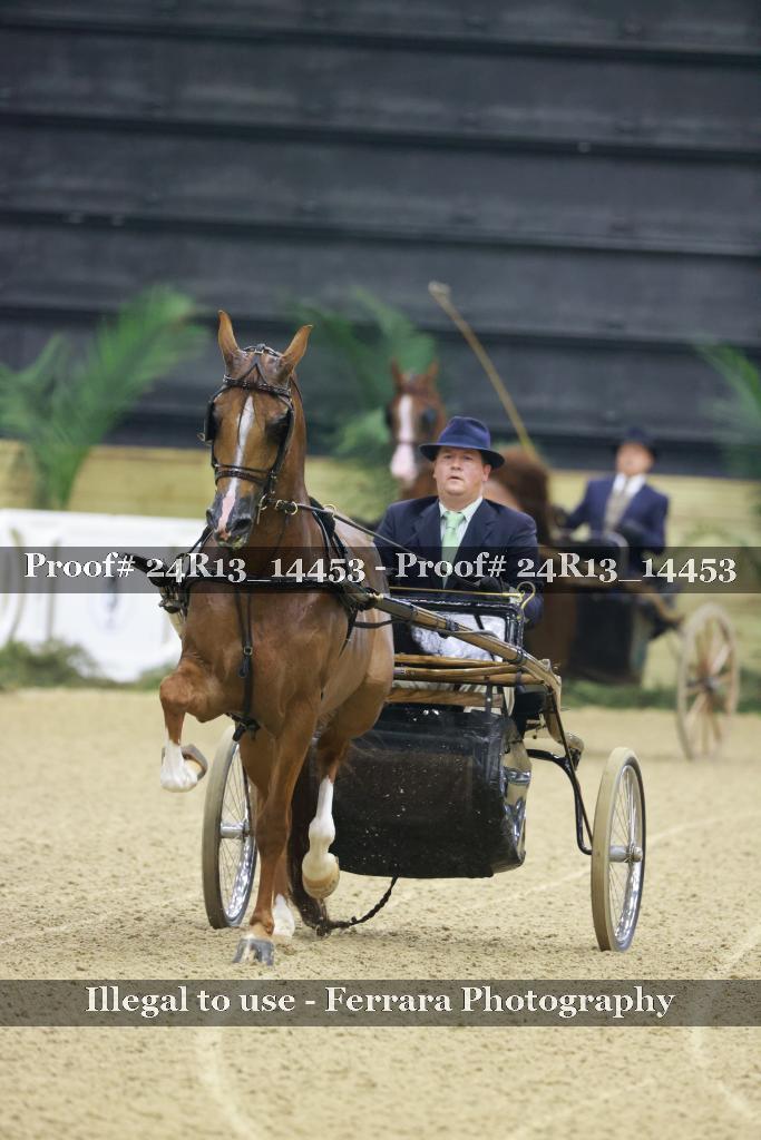 Proof 24R13_14453
