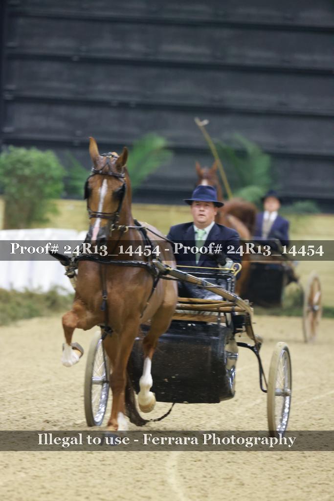 Proof 24R13_14454