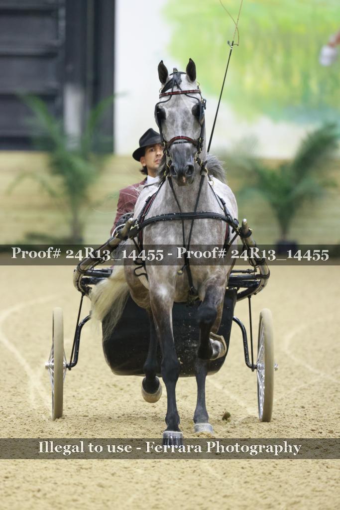 Proof 24R13_14455