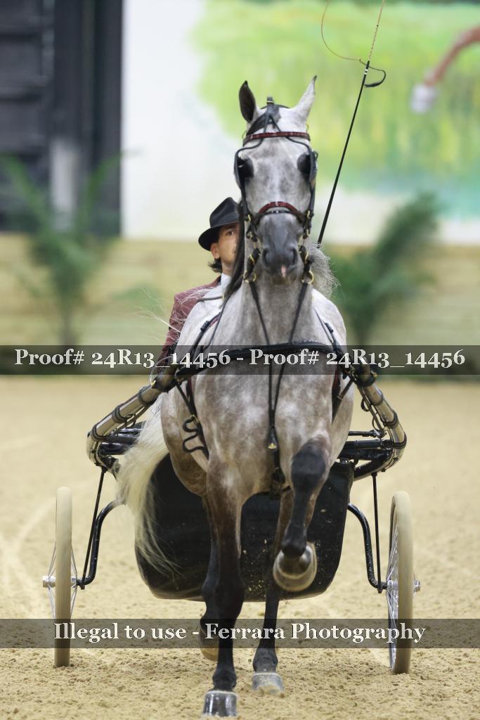 Proof 24R13_14456