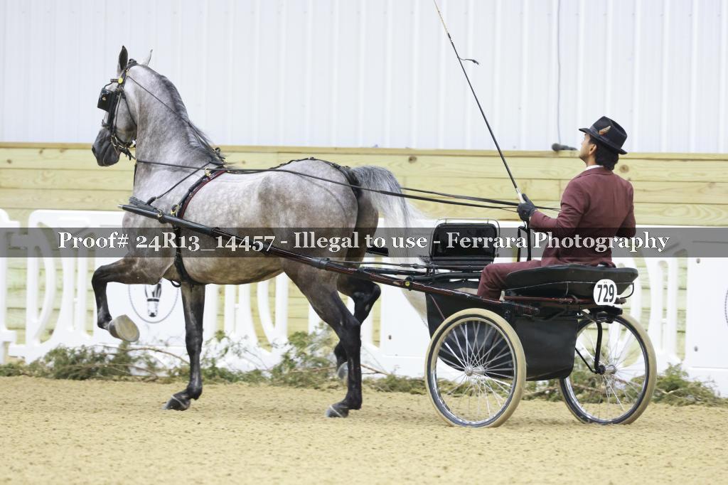 Proof 24R13_14457